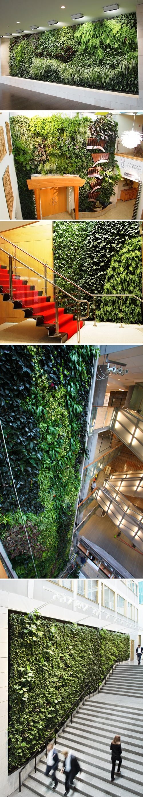 Living walls.