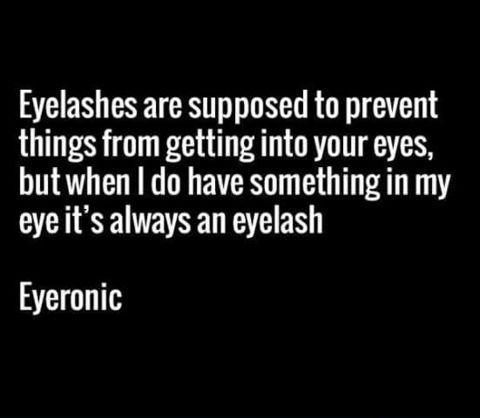 fricking eyelashes