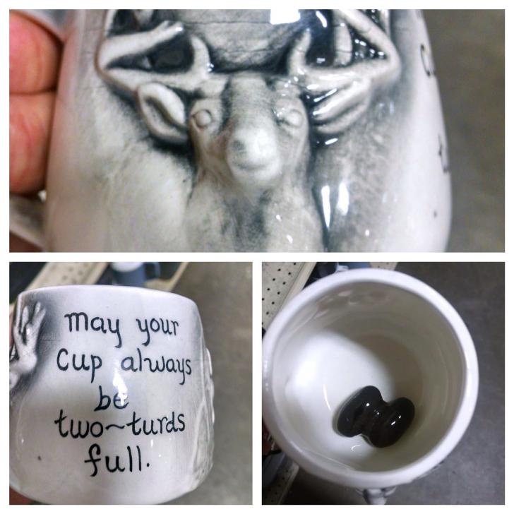 Oh the things you find at Goodwill