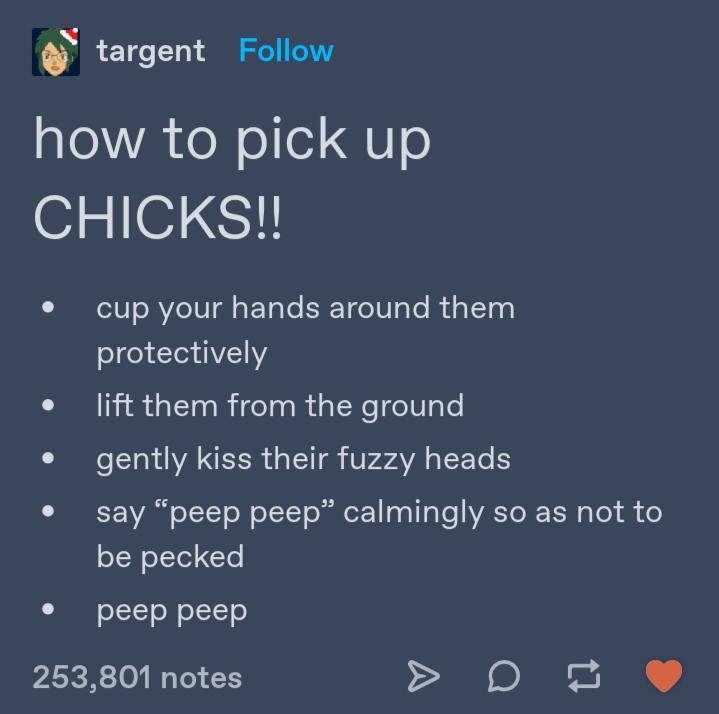 How to pick up chicks OR spring is coming.
