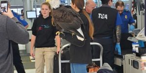 The TSA is gonna take away your freedom