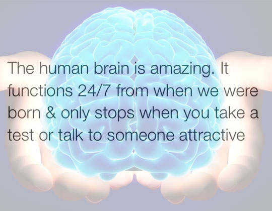 The human brain is amazing