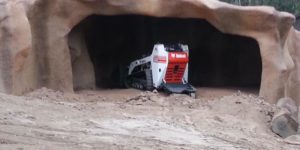 This Bobcat on Exhibit at the San Diego Zoo