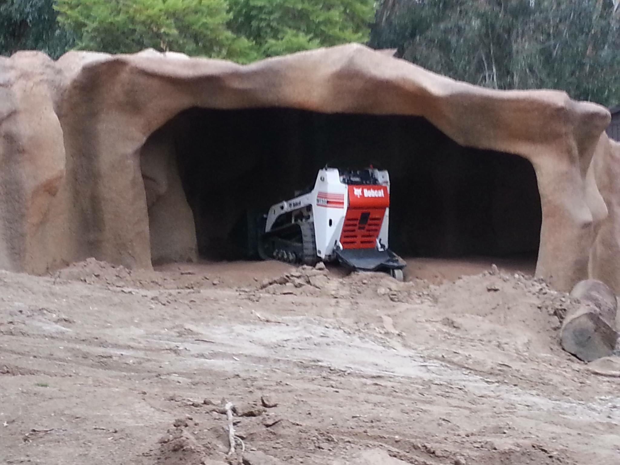 This Bobcat on Exhibit at the San Diego Zoo