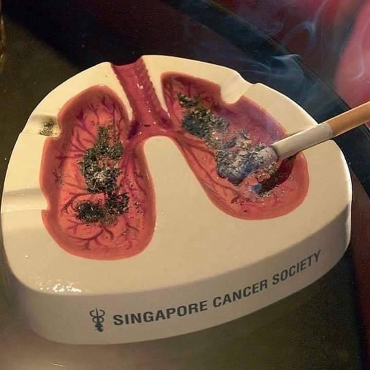 The ashtray is your lungs. 