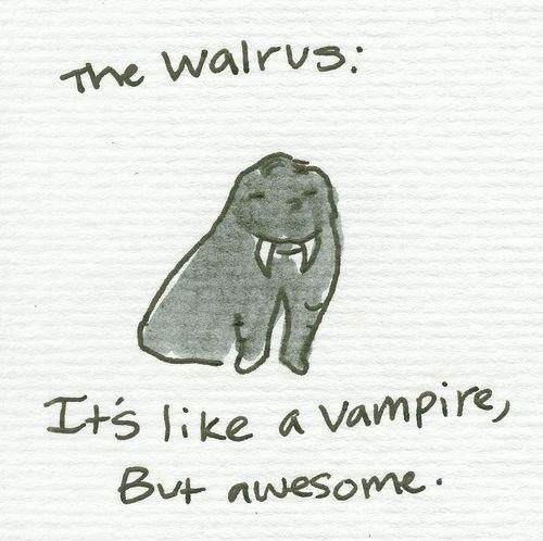 The walrus.
