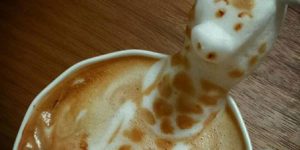 Excuse me, there’s a Giraffe in my coffee…