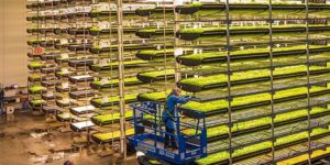 Vertical farming is modelled after The Matrix and will soon be run completely by robots.