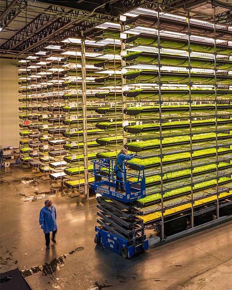 Vertical farming is modelled after The Matrix and will soon be run completely by robots.