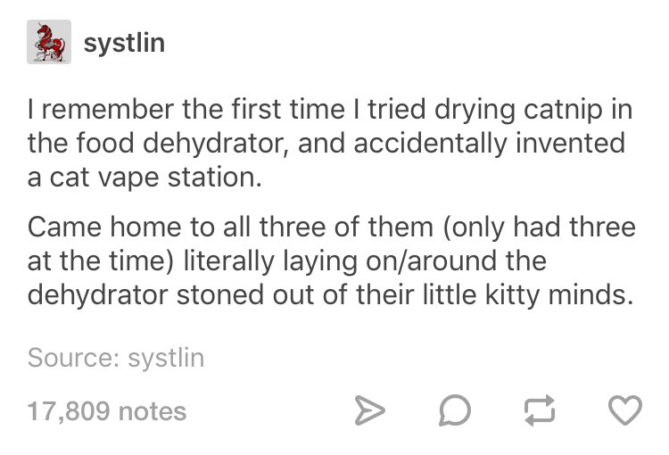 Stoner caaat, stoner cat.