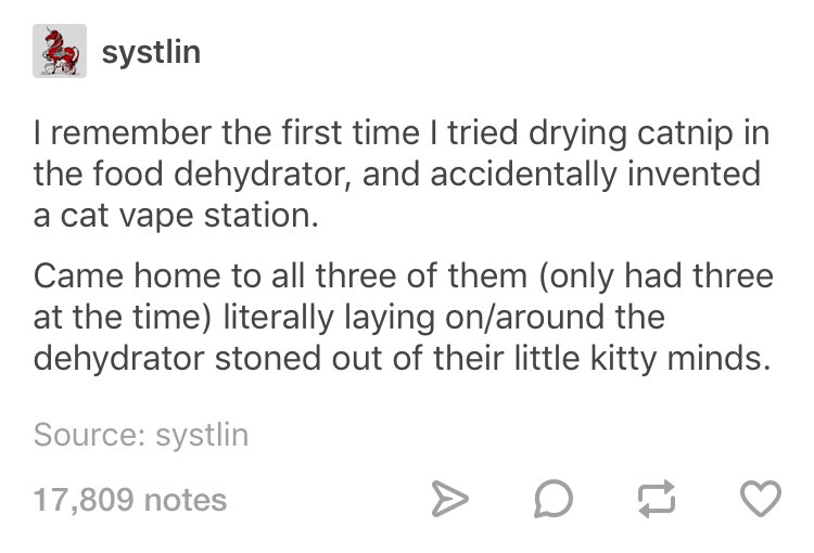 Stoner caaat, stoner cat.
