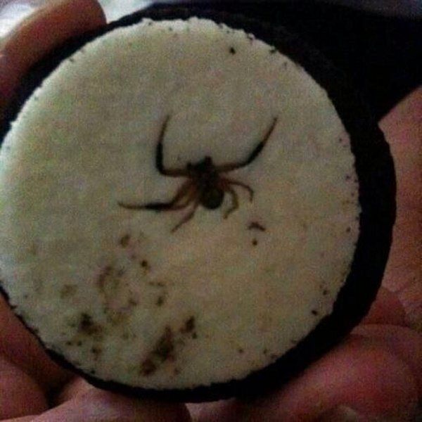 I think I'm done with Oreo's...