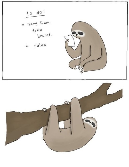 How to be a sloth.