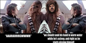 How we see Chewbacca vs How Han sees Chewbacca