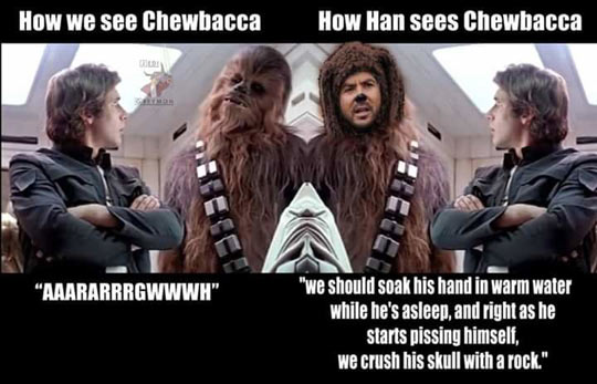 How we see Chewbacca vs How Han sees Chewbacca