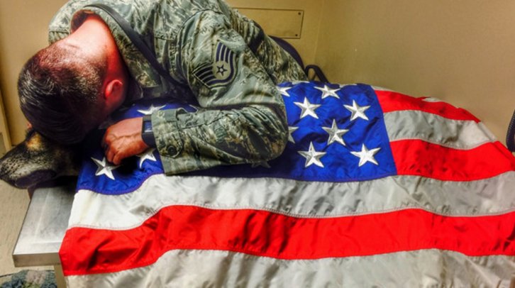 Soldier drapes flag over military dog after he is put down due to health problems