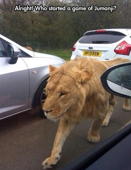 Who Started A Game Of Jumanji?