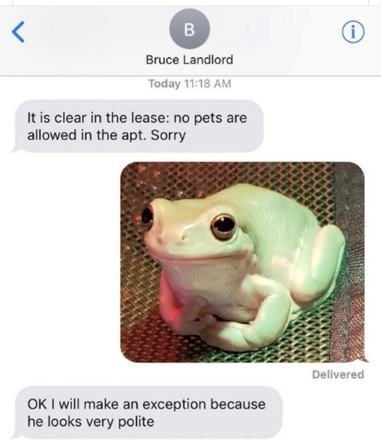 Froggo makes a good tenant.