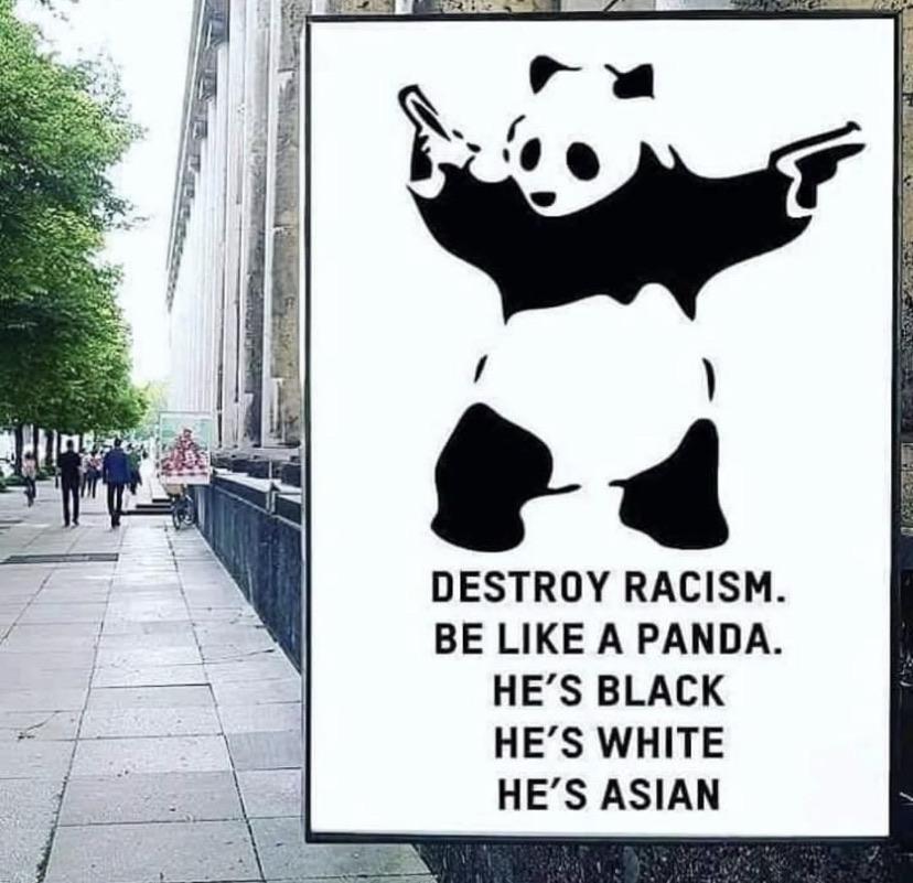 Pandemic Panda Portrays Unity
