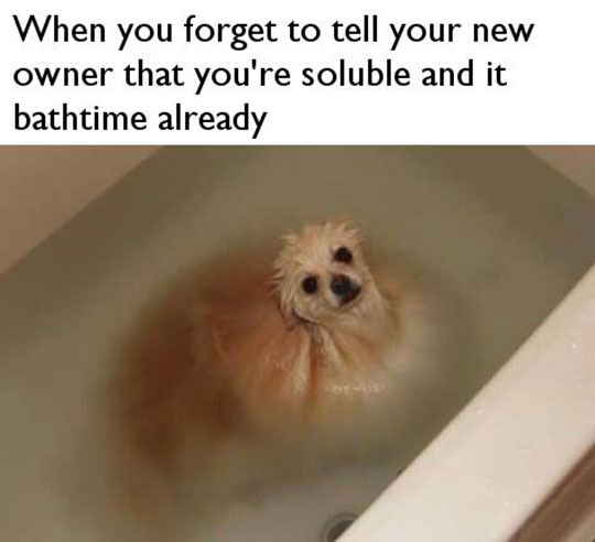 Water soluble pup