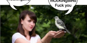 Mocking Bird Stings…
