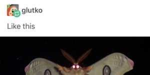 All hail Moth Lorde.