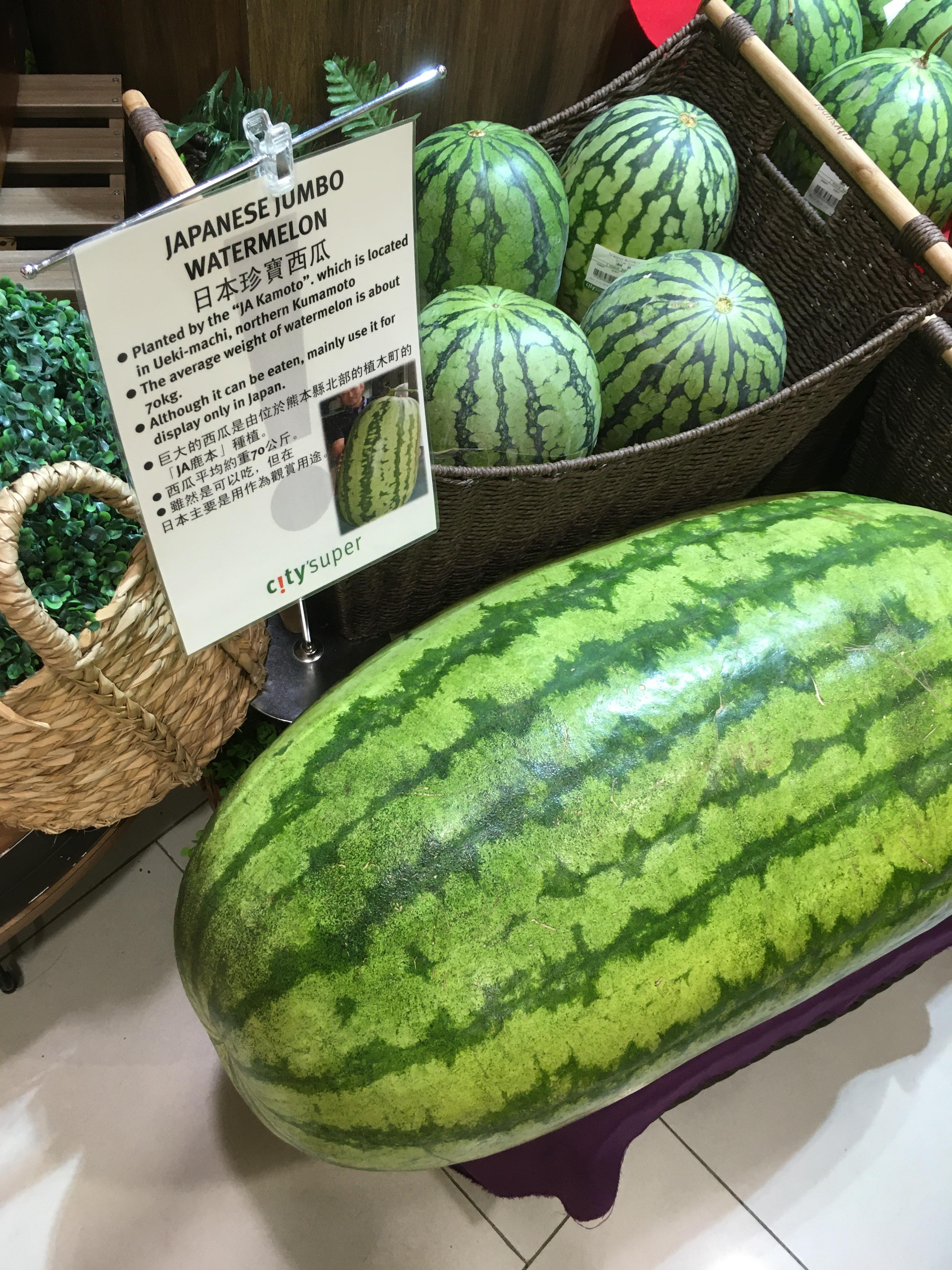 70 kg Watermelonzilla