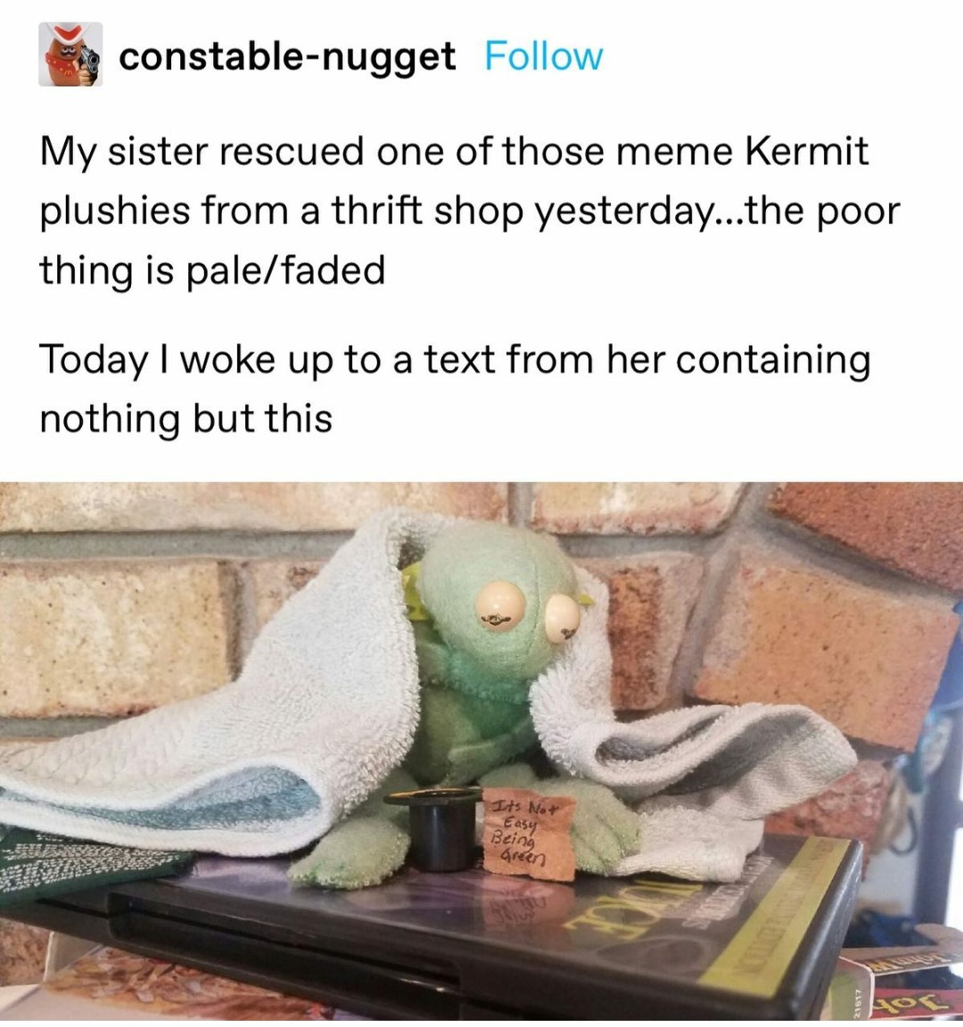 #savekermit