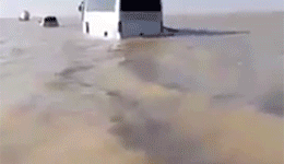 Saudi Arabia, when it rains in the desert.