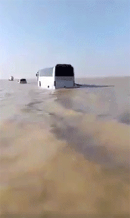 Saudi Arabia, when it rains in the desert.