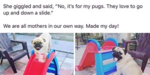 #SLIDESFORPUGS