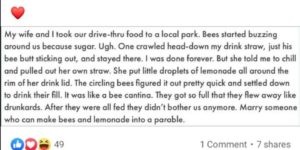 The+bees+shall+inherit+the+lemonade.