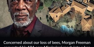 Morgan Freeman is a bee bro.