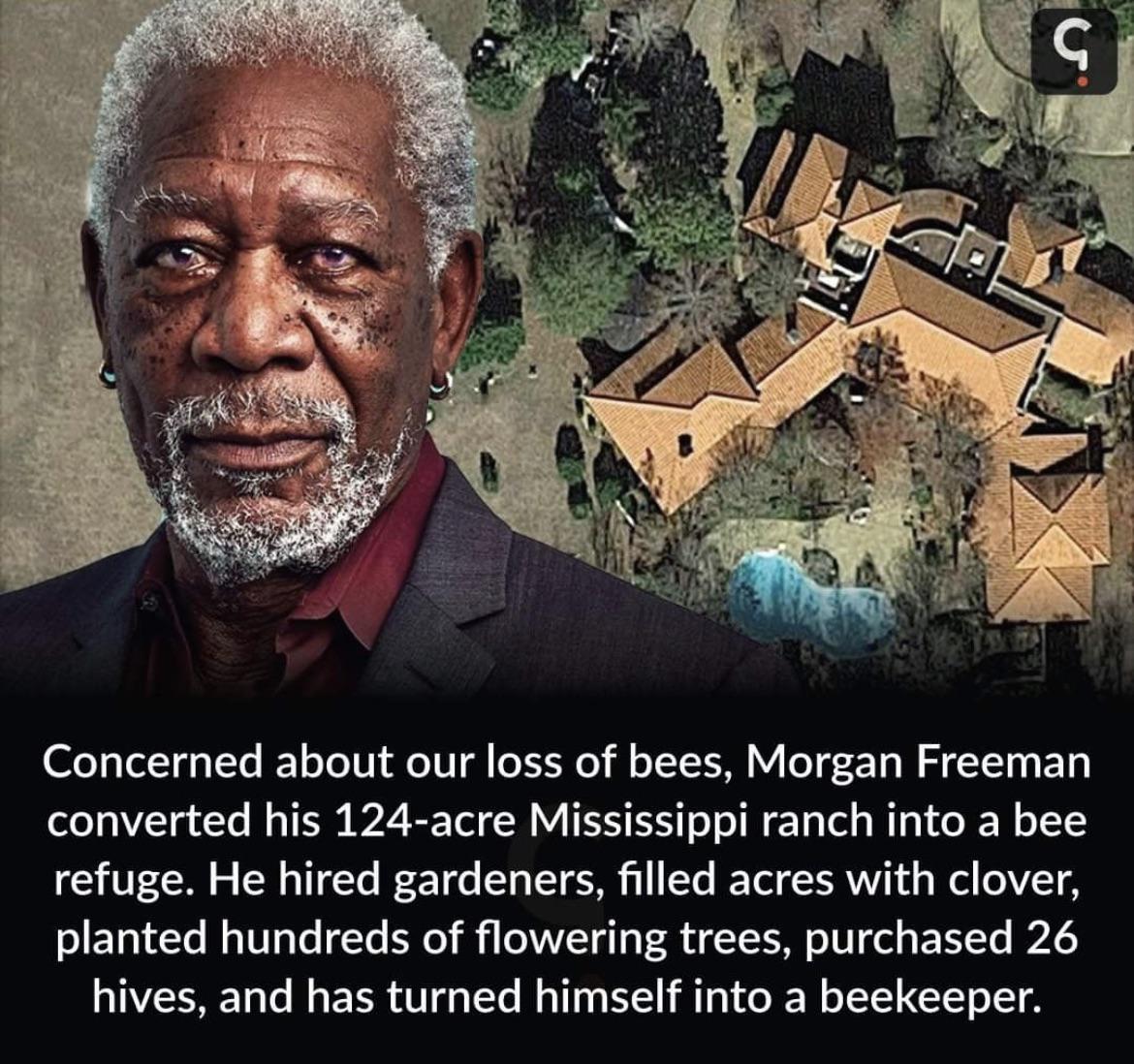 Morgan Freeman is a bee bro.