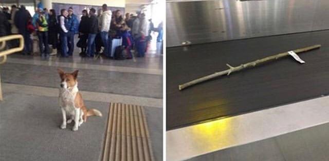 Waiting for her luggage.