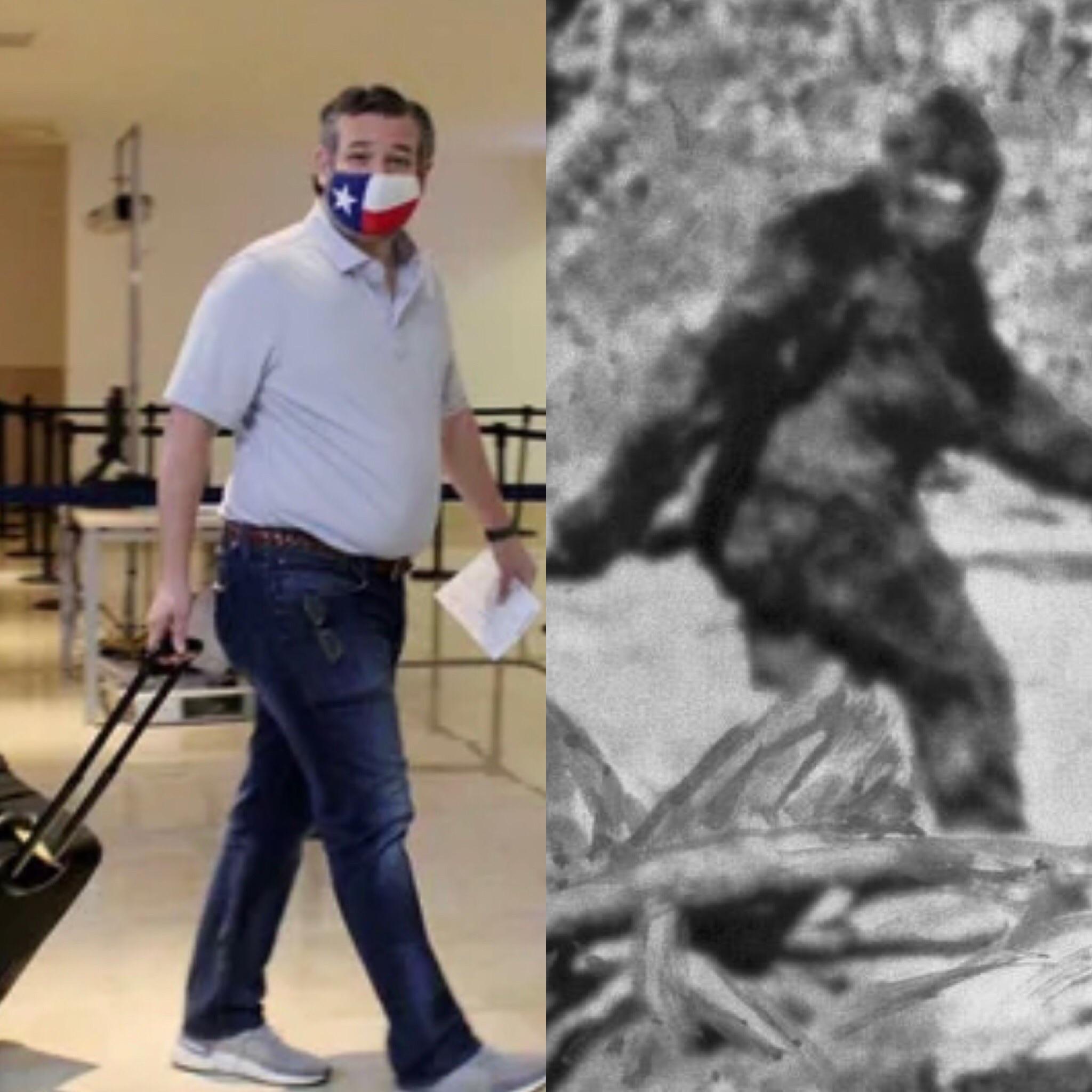 Ted Cruz is the zodiac squatch. 