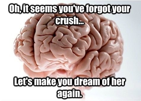 Scumbag brain.