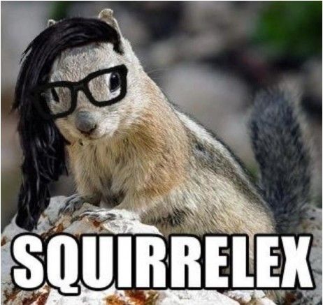 Squirrelex.