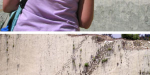 Wall Covered In Dinosaur Footprints