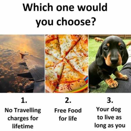 Choose w i s e l y