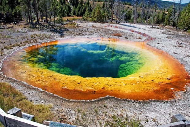 Morning Glory Rainbow Pool - Yellow Stone National Park.