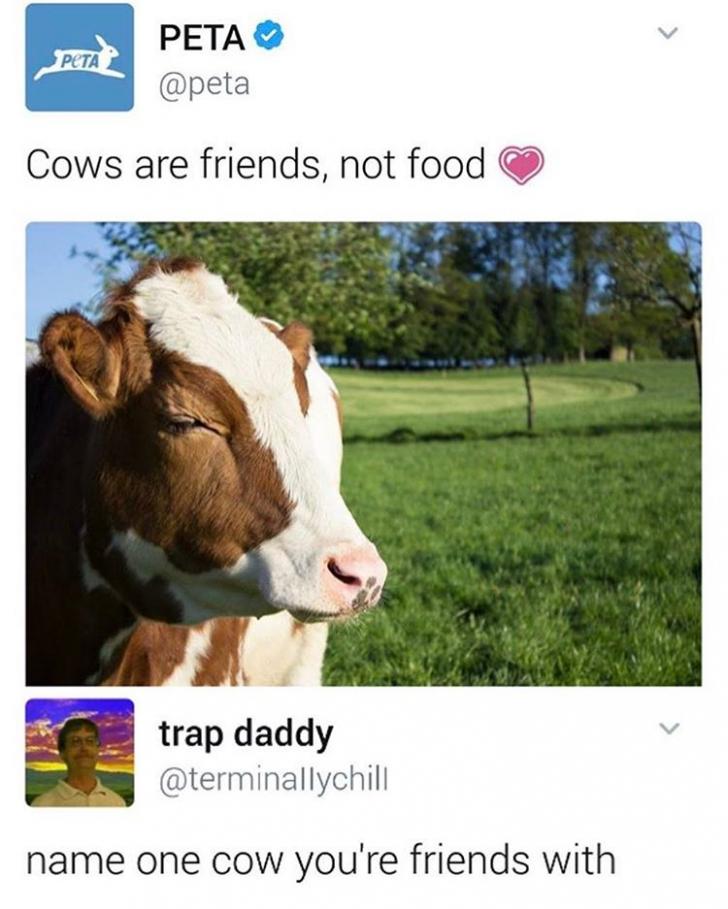 Sorry, cow...