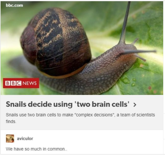 KISS (Keep It Simple, Snail).