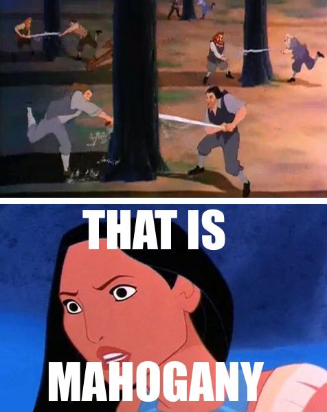 The Pocahontas Games.