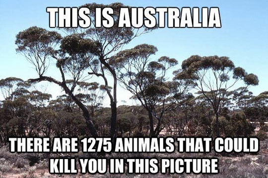 Welcome to Australia!