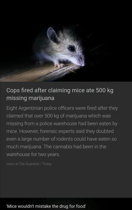 Rodents don't play that.