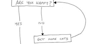 Are you happy?