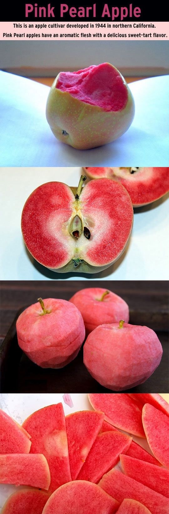 Pink Pearl Apple.