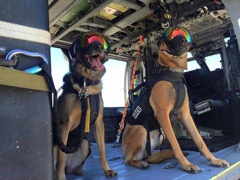 Ricky and Evy after they passed their helicopter proficiency training for the US Coast