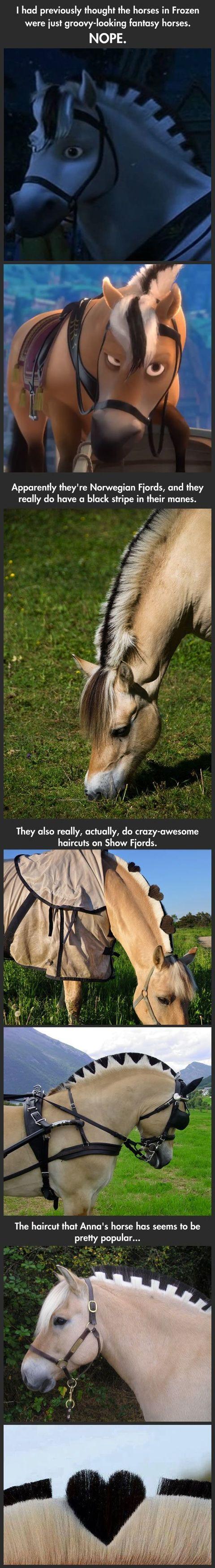 FJORD HORSES :D